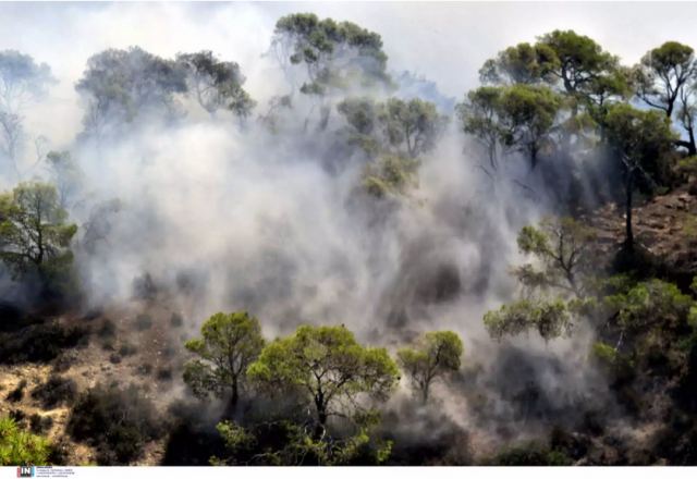 Σε κατάσταση έκτακτης ανάγκης τρεις δημοτικές ενότητες στη Ρόδο - Μαίνεται η μεγάλη φωτιά