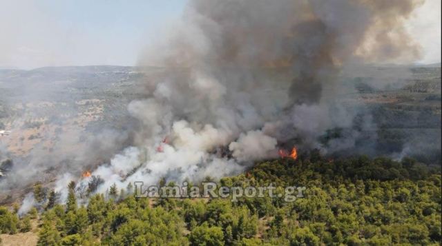 Φθιώτιδα: Διέκοψαν την κυκλοφορία στο Θεολόγο - Νέες εικόνες από τη μεγάλη φωτιά - ΒΙΝΤΕΟ