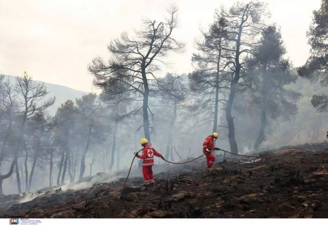 Εξάμηνη αναστολή των πλειστηριασμών για τους πυρόπληκτους Ιουλίου, Αυγούστου και Σεπτεμβρίου