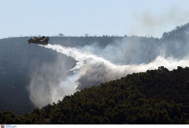 Έκτακτα μέτρα υπό τον φόβο πυρκαγιών μέχρι τον Δεκαπενταύγουστο - Ακραίος κίνδυνος σήμερα για 7 περιοχές