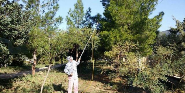 Δήμος Λαμιέων: Πού θα γίνουν ψεκασμοί για κάμπιες