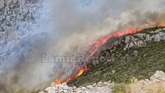 Φθιώτιδα: Πυρκαγιά πάνω από την παραλία Γκάτζας (ΒΙΝΤΕΟ-ΦΩΤΟ)