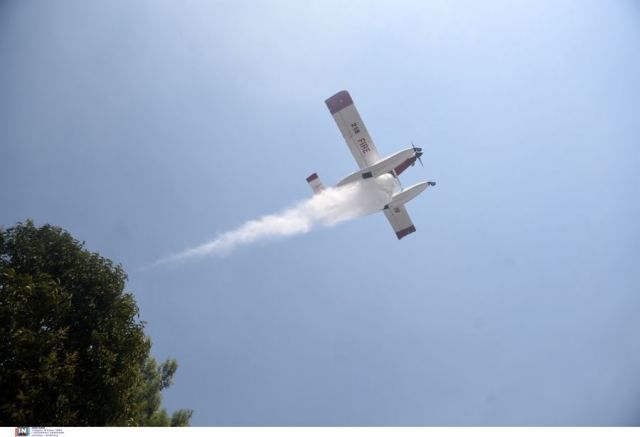 Φωτιά στη Ροδόπη στην περιοχή Αμπελάκια: Σηκώθηκαν τα εναέρια μέσα, ήχησε το 112