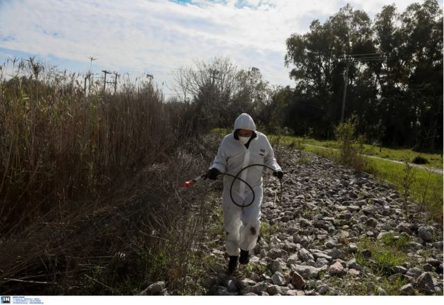 Ιός του Δυτικού Νείλου: 254 κρούσματα στην Ελλάδα έχουν σημάνει «συναγερμό»