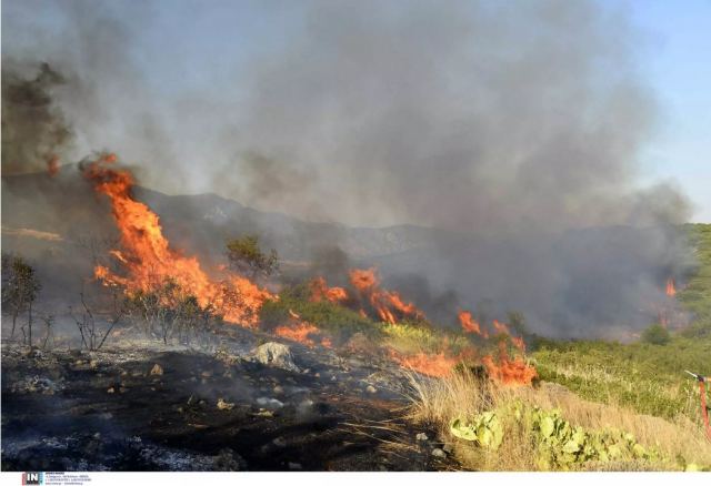 Συνελήφθη επ΄αυτοφώρω ύποπτος για εμπρησμό στον Άγιο Στέφανο - Κουβαλούσε μπιτόνια με βενζίνη