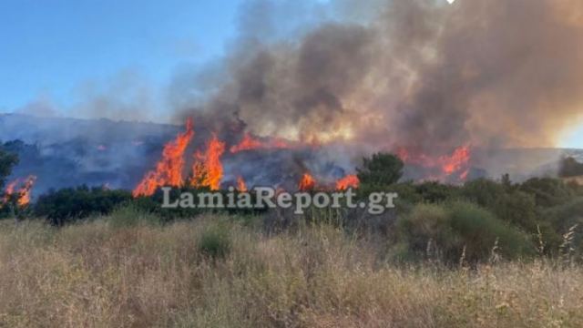 Έκτακτο: Συναγερμός για πυρκαγιά στο 