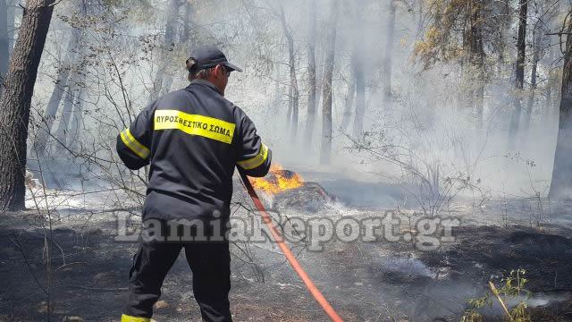 ΦΩΤΟΡΕΠΟΡΤΑΖ και ΒΙΝΤΕΟ από την πυρκαγιά στις Θερμοπύλες