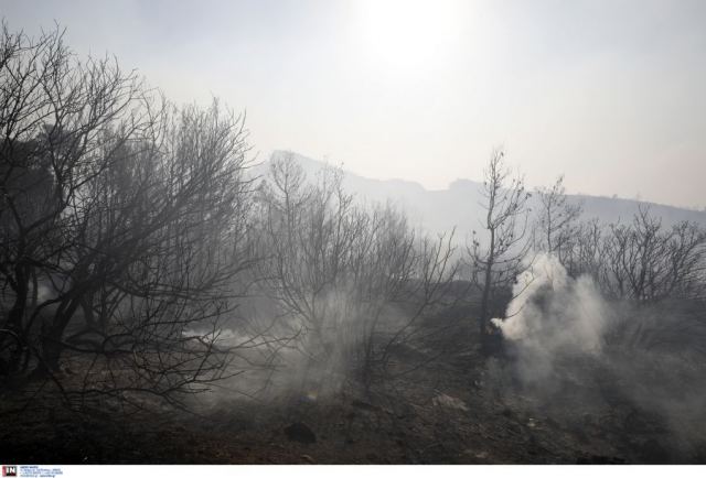 Φωτιά στην Αττική: Ο Ιατρικός Σύλλογος Αθηνών δίνει οδηγίες και εφιστά την προσοχή στα μέτρα προστασίας