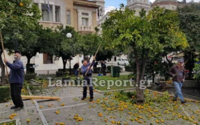 Που θα βρείτε υποψήφιους ...στις νεραντζιές;