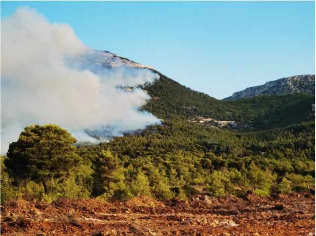 Κόκκαλης: Δεχθήκαμε συνεχόμενες απόπειρες εμπρησμού - Πέντε εστίες εκδηλώθηκαν ταυτόχρονα στον Αυλώνα