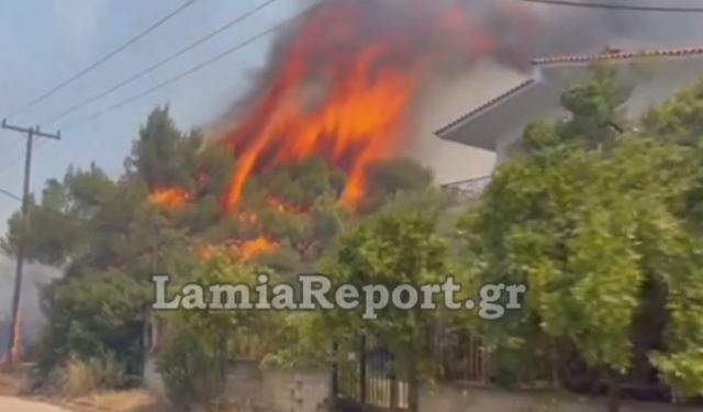 Προσαγωγή 14χρονου για τις φωτιές στο Θεολόγο!