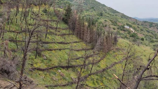 Δήμο Λοκρών: Προτεραιότητα η αντιπυρική προστασία