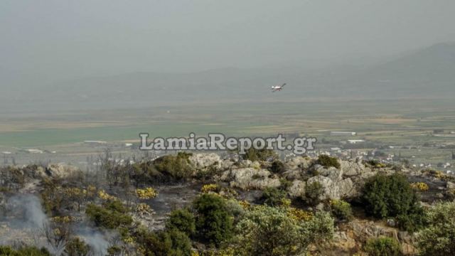 Αναζωπύρωση στα καμένα της Λαμίας (BINTEO)