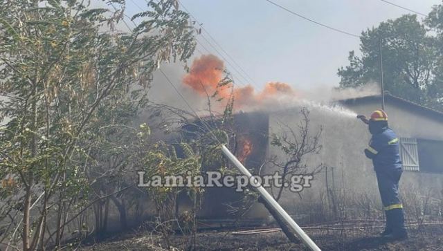 Λαμία: Τι πρέπει να κάνετε εάν έχετε υποστεί ζημιές από την πυρκαγιά