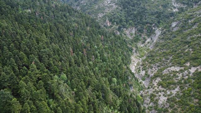 Πεζοπορία στο Φαράγγι της Τιθορέας