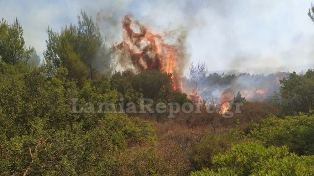 Καίει δασική έκταση η πυρκαγιά στο Βαρδαλή