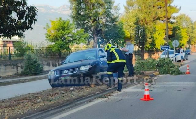 Λαμία: Πήρε μπροστά τα δέντρα της νησίδας (ΦΩΤΟ)