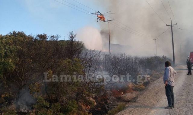 Φθιώτιδα: Μεγάλη φωτιά στο Μαρτίνο - Διακοπή της κυκλοφορίας στην εθνική (ΦΩΤΟ)