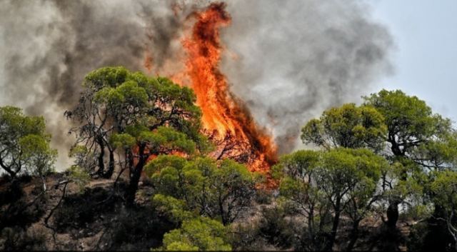 Πιέρια όρη: Μαίνεται η φωτιά σε υψόμετρο 2.000 μέτρων