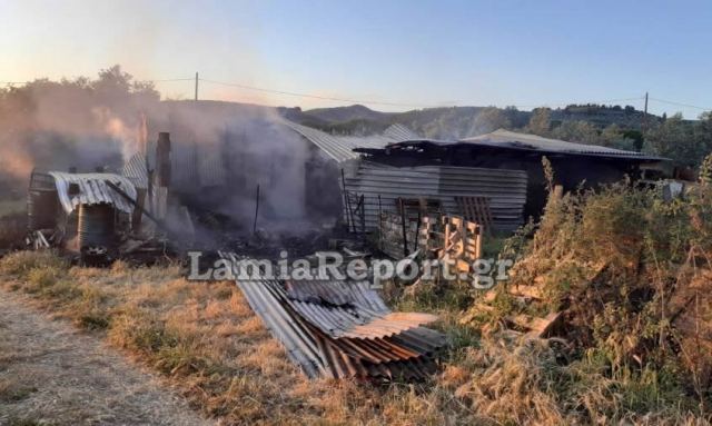 Φθιώτιδα: Κάηκαν τα ζωντανά μαζί με τη στάνη - Δείτε εικόνες