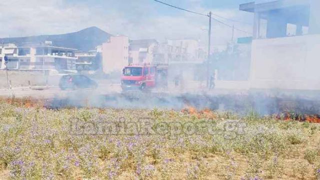 Λαμία: Πυρκαγιά σε οικόπεδο κινητοποίησε την πυροσβεστική (ΒΙΝΤΕΟ-ΦΩΤΟ)