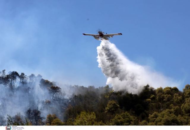 Φωτιά στη Νέα Σάντα Ροδόπης: Καλύτερη η εικόνα, σε δύσβατη περιοχή επιχειρούν οι πυροσβεστικές δυνάμεις που ενισχύονται