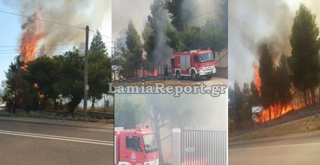 Λαμία: Μεγάλη πυρκαγιά στα Σφαγεία (ΦΩΤΟ-ΒΙΝΤΕΟ)