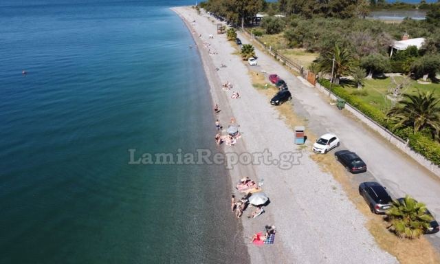 Βγήκαν στις παραλίες και στη Φθιώτιδα - Δείτε εικόνες