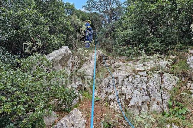 Φθιώτιδα: Κατέβηκαν γκρεμό 50 μέτρων για να σώσουν κυνηγόσκυλο (ΦΩΤΟ)