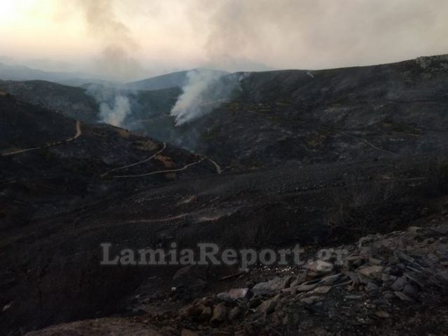 Νέα σύλληψη για εμπρησμό στην Εύβοια