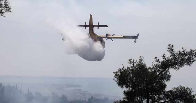 Φωτιά στη Λιβαδειά στο Ακόντιο Όρος: Επιχειρούν επίγεια και εναέρια μέσα