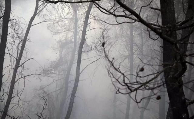 Φωτιά στο Ηράκλειο - Στις φλόγες ξανά το δάσος της Κέρης