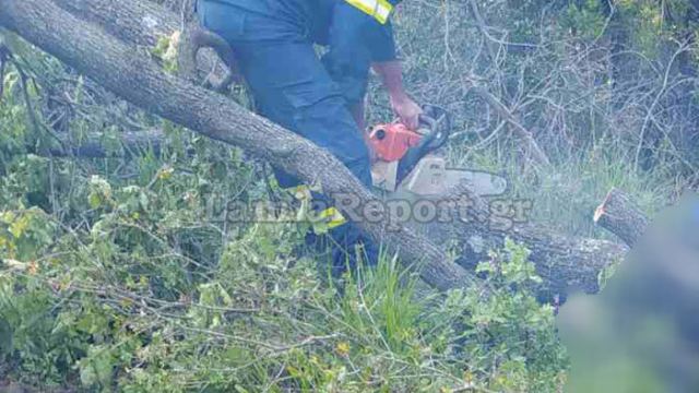 Φθιώτιδα: Οι μοναχές βρήκαν τον άτυχο άνδρα καταπλακωμένο (ΦΩΤΟ)