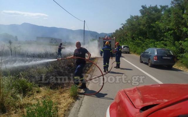 Πυρκαγιά σε ξερά χόρτα στην παλιά εθνική Λαμίας - Αθηνών (ΦΩΤΟ)