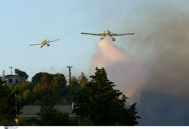 ΣΥΡΙΖΑ: Αίτημα για χορήγηση στοιχείων σχετικά με τα εναέρια μέσα που πετούσαν για τη φωτιά Αττική