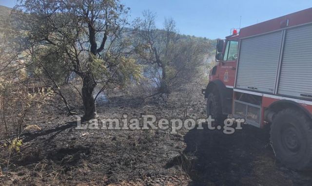 Φθιώτιδα: «Χειρουργικές» ρίψεις από αέρος σε πυρκαγιά δίπλα στα σπίτια (ΒΙΝΤΕΟ)