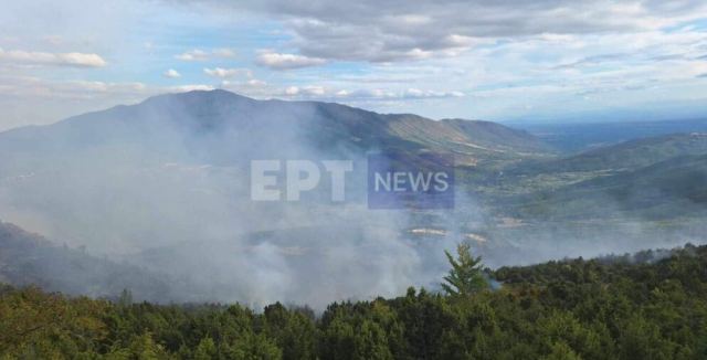 Οριοθετημένη η φωτιά στη Βλάστη Κοζάνης - Ξέσπασε σε δύσβατο σημείο