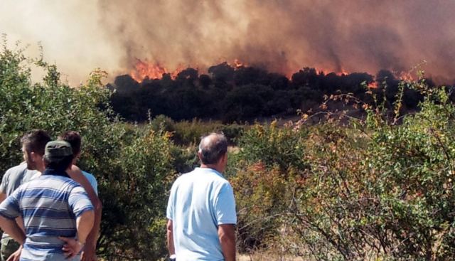 Τεράστιο το μέτωπο στον Έβρο: Μήνυμα του 112 για εκκένωση σε Λευκίμμη και Κασσιτερά Ροδόπης