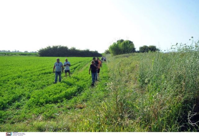 Ηλεία: Πειθαρχικός έλεγχος στους δικαστές που άφησαν ελεύθερο τον 37χρονο ενώ είχε καταδικαστεί για βιασμό το 2020