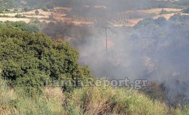 Μεγάλη πυρκαγιά έξω από το Λογγίτσι Στυλίδας (ΦΩΤΟ)