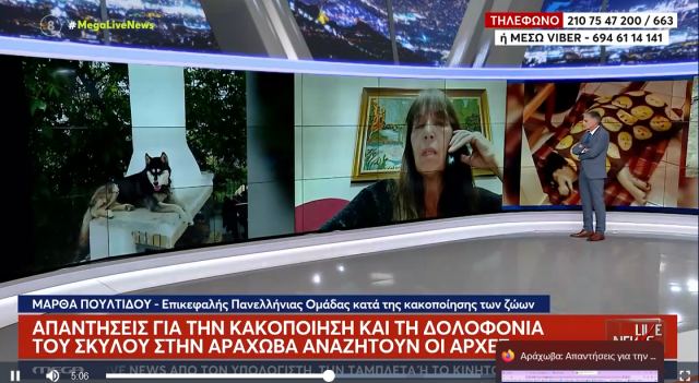 Αράχωβα: Ο δολοφόνος του Oliver κυκλοφορεί ακόμα ελεύθερος