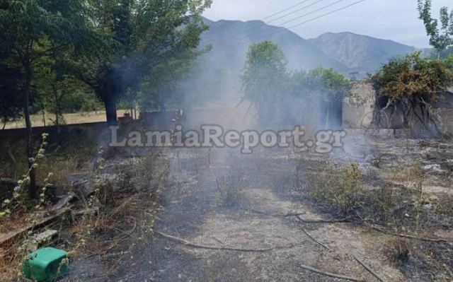 Πυρκαγιά κοντά στις Βαρδάτες Λαμίας (ΦΩΤΟ)