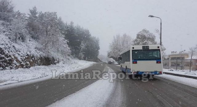 Χιόνι σε όλη τη Φθιώτιδα - Που είναι κλειστά τα σχολεία