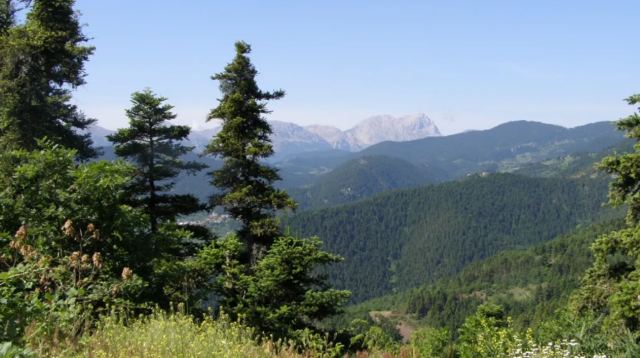 Αντίστροφη μέτρηση για την Παύλιανη