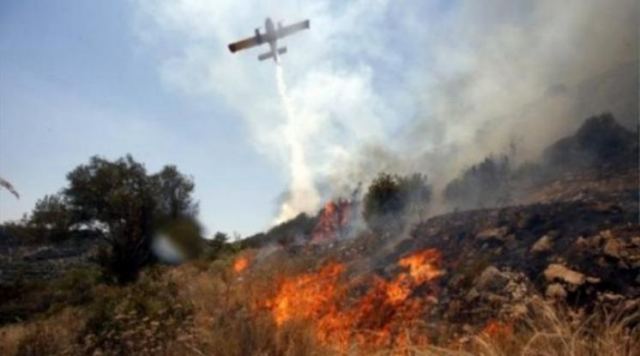 Συναγερμός για πυρκαγιά στη Βοιωτία