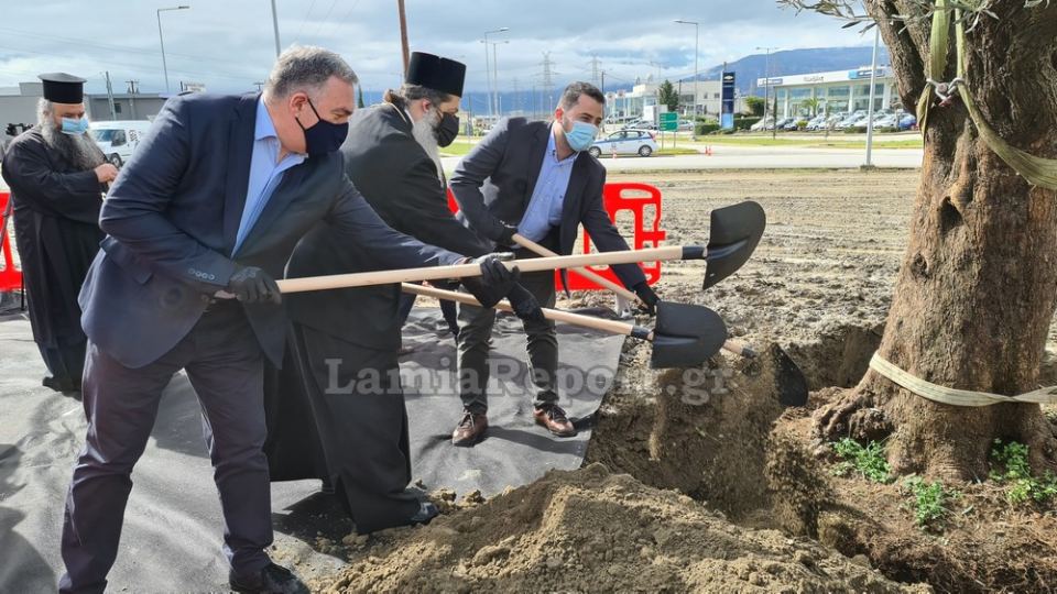 Λαμία: Ελιά 200 ετών στην είσοδο της πόλης (ΦΩΤΟ-ΒΙΝΤΕΟ)