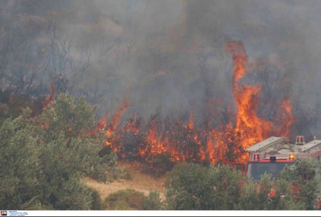 Υψηλός κίνδυνος πυρκαγιάς και σήμερα στη Στερεά