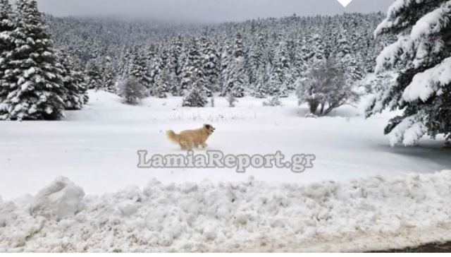 Τριήμερος χιονιάς με χιονοπτώσεις και σε χαμηλά υψόμετρα