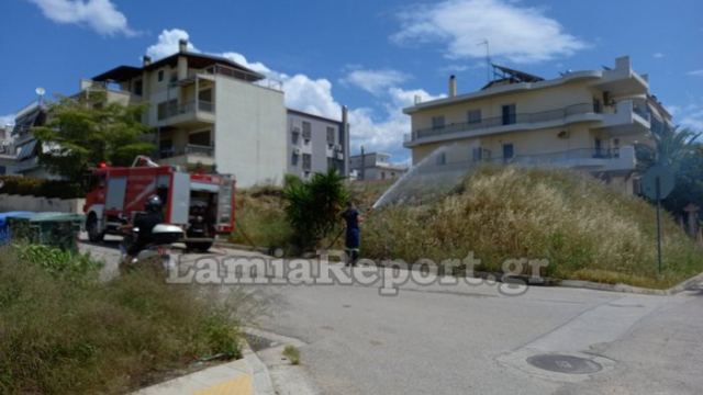 Λαμία: Πυρκαγιά σε ακαθάριστο οικόπεδο μέσα στα σπίτια (ΒΙΝΤΕΟ)