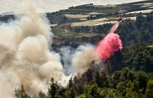 Φωτιά σε δασική έκταση στον Λαγκαδά Θεσσαλονίκης